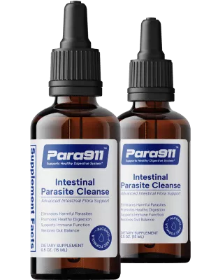 Diagram showing how intestinal parasites affect gut health and overall wellness